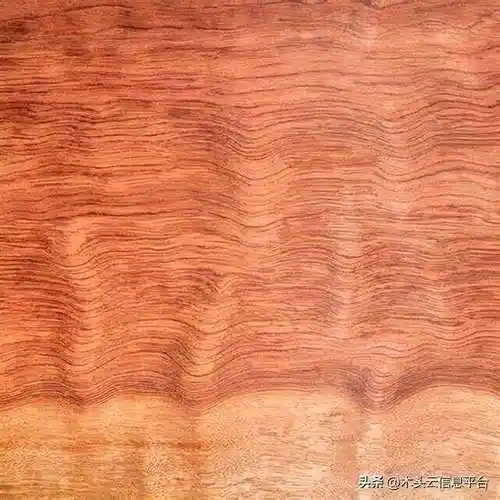 世界上六种价格不菲的木材你见过几个