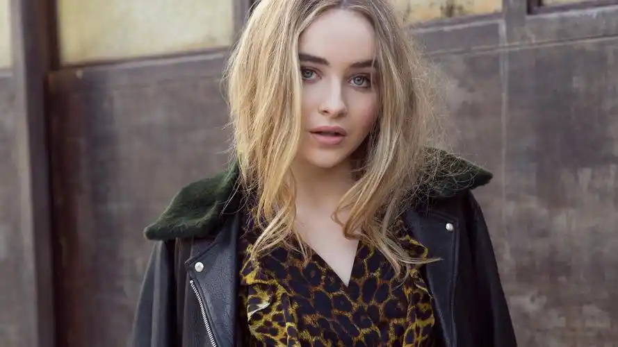 女明星模特国外美女壁纸479