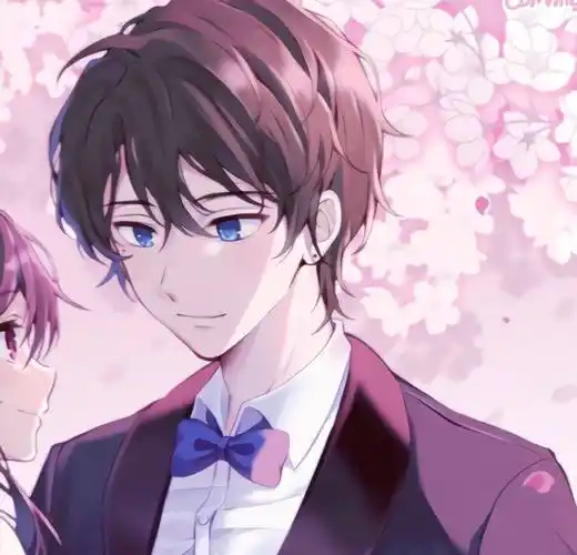 q版创意的各类型动漫男女人物裁剪一人一半情侣头像