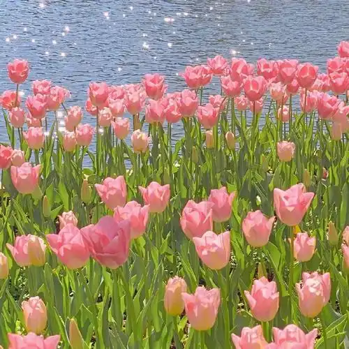 背景图##朋友圈自拍文案##小众壁纸##ins风壁纸##夏天壁纸##秋天文案