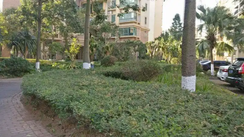 美丽花园,坦神北路117号-中山美丽花园二手房,租房,房价-中山安居客