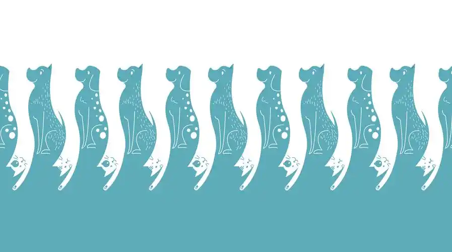 图地反转 ╳ 社会关怀