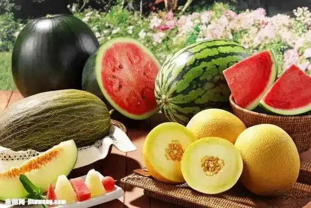 甜瓜和西瓜