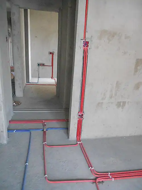 巢上城锦园李先生的新家