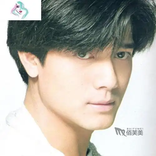 郭富城假发男款中分刘海短发造型时尚帅气复古节目表演模仿秃头套你