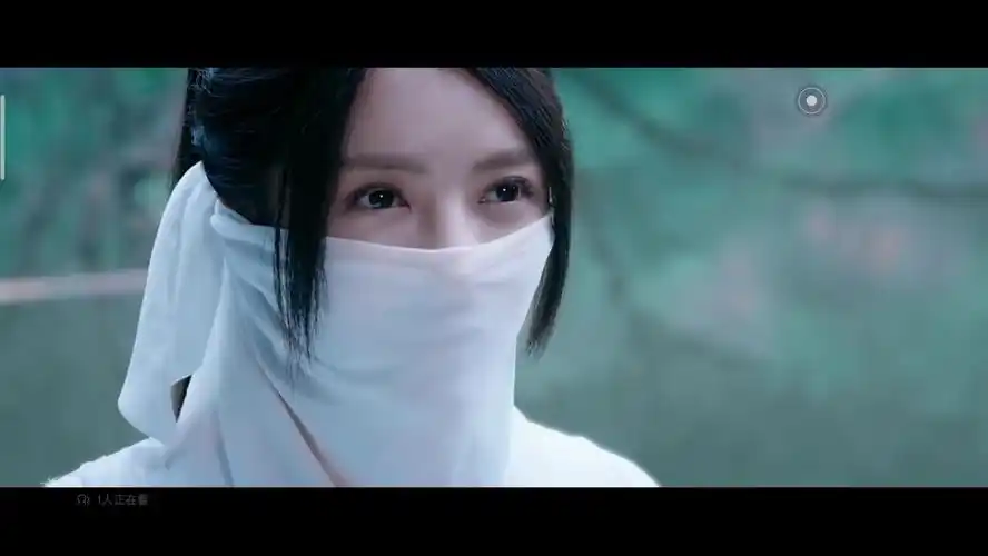 影视剧面纱蒙面女4