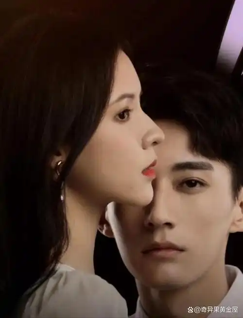 《夜色暗涌时》是一部由张予曦和刘学义主演的都市爱情剧,讲述了独立