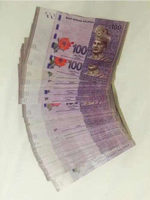 马来西亚的钱!03