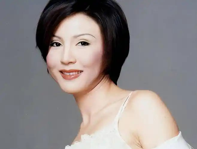 歌手林萍:曾红过毛阿敏,最红时连续七次登上春晚,如今无人问津_工作