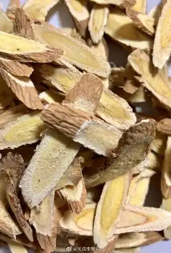 黄芪的真假鉴别方法