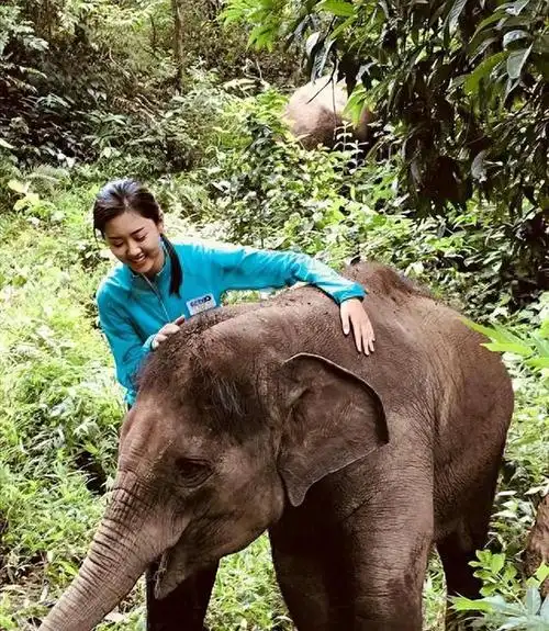 央视远方的家主持人伊拉娜五官精致肤色偏黑有种野性美
