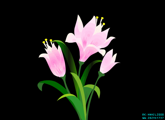 550_400gif 动态图 动图