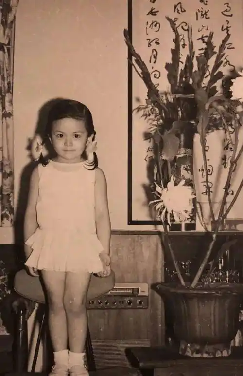 父亲是中国第一位国际影帝关海山,关之琳祖籍辽宁沈阳,满族镶蓝旗