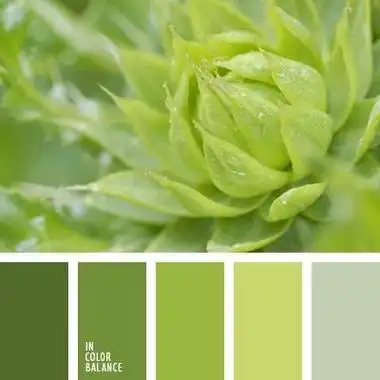 分享一组叶子色卡参考 想要领取更多绘画参考素材,可以加q群