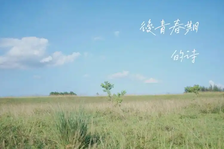 海口北姆堆露营,拍出了五月天专辑封面