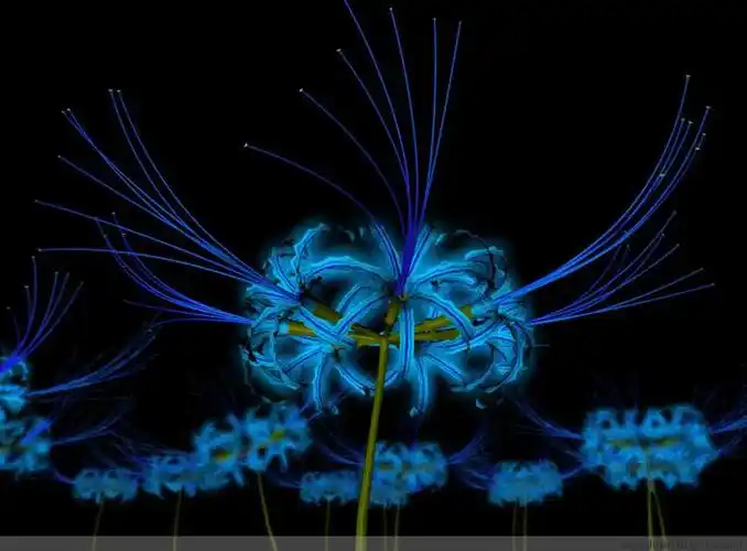 数字人c4d建模课堂之十七:彼岸花建模