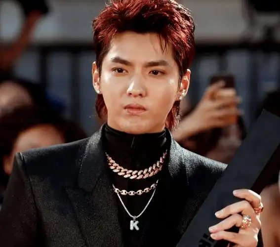 吴亦凡_判决_李恩