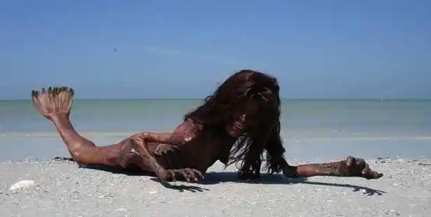 在古巴外海捕获一个能讲人语的小孩,皮肤呈鳞状,有鳃,头似人,尾似鱼