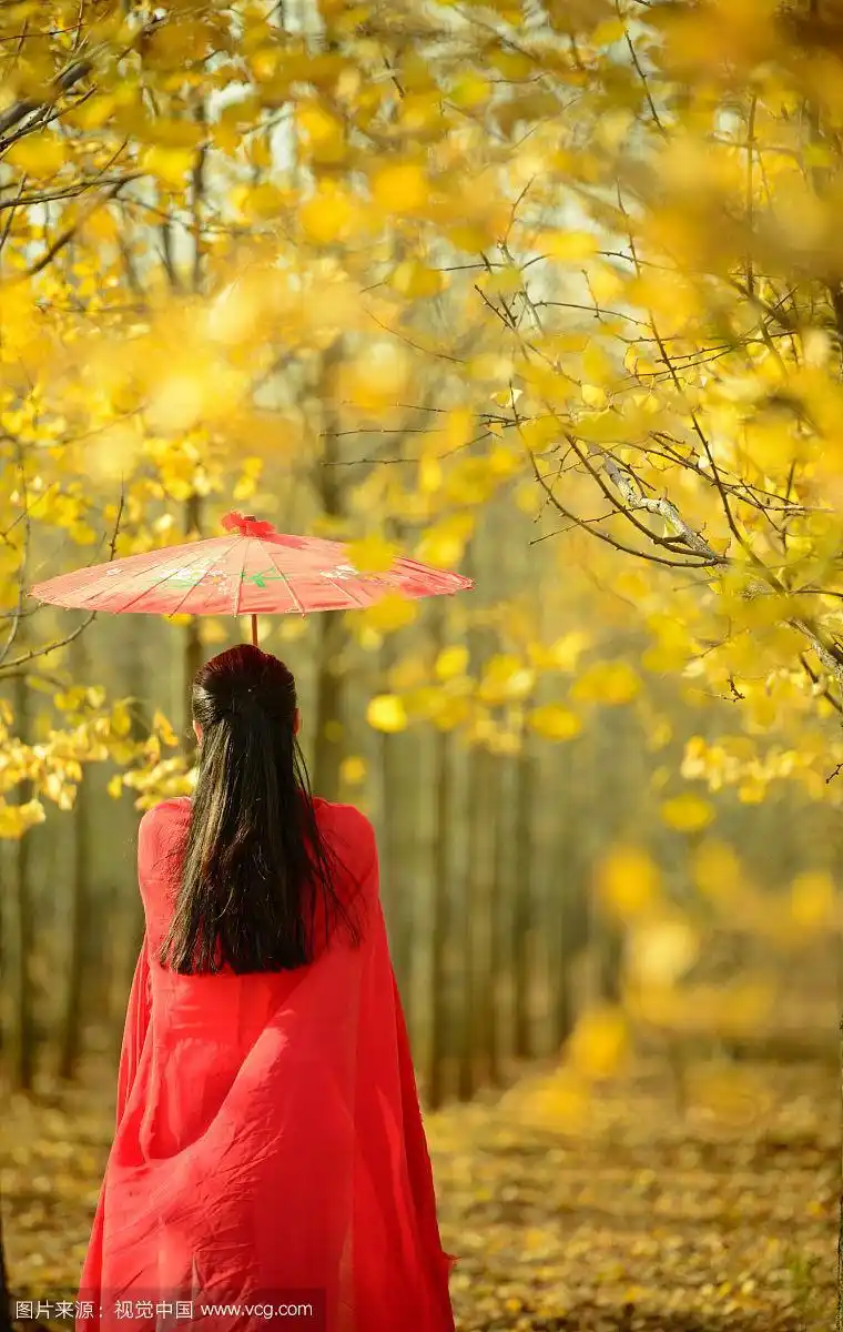 树下古装人像背影