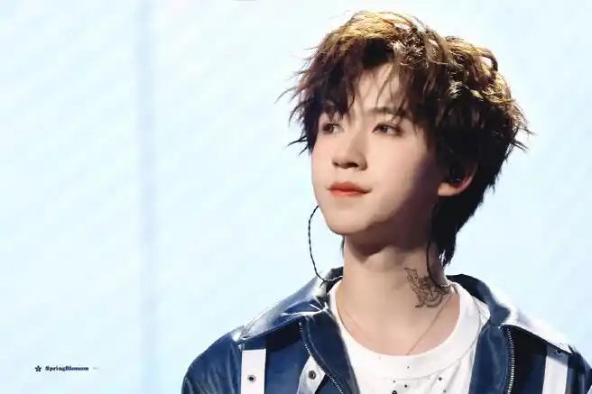 贺峻霖 梦蝶破笼##贺峻霖饭撒小天使##时代少年团叁重楼暨出道四帜觋