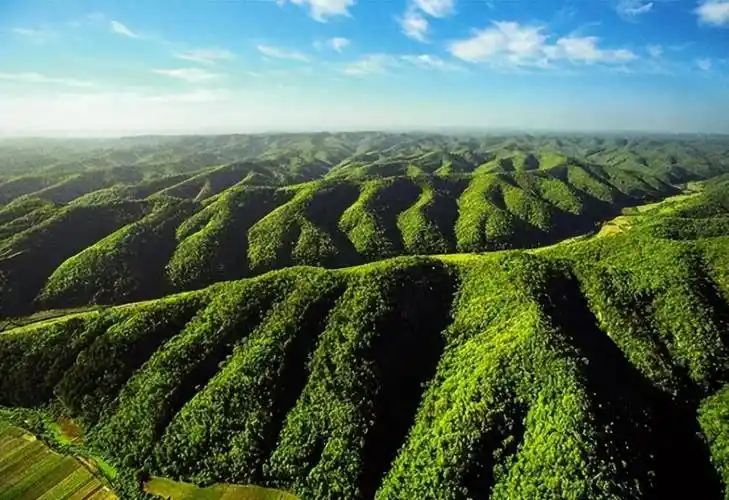 我国用70年治理黄土高原如今怎样了联合国曾说无可救药