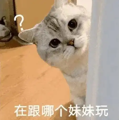 搞笑女必备沙雕表情包哈哈啊哈哈