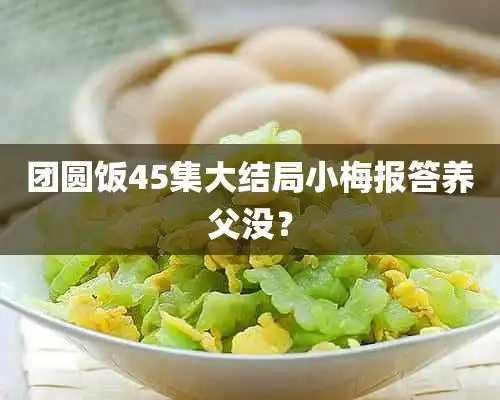 团圆饭45集大结局小梅报答养父没?