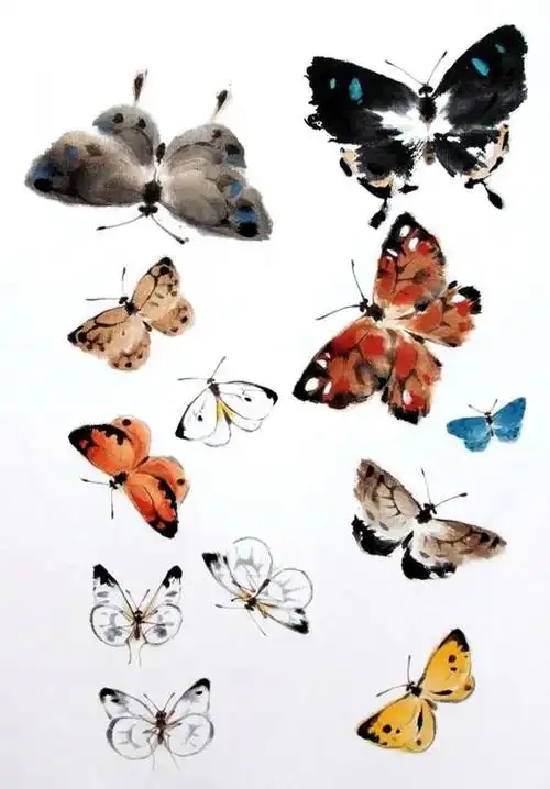 国画大师手把手教你画蝴蝶画蝴蝶怎么画