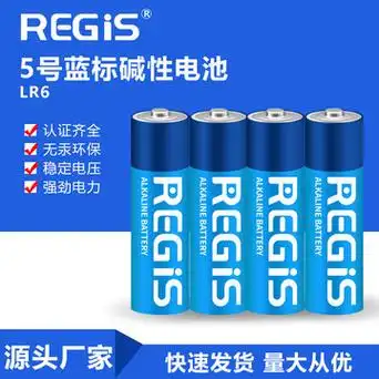 雷吉斯碱性5号aa环保无汞柱式电池 闹钟计算器血压仪人体秤电池