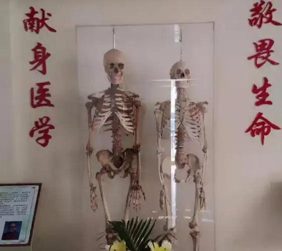 人体标本制作师王耀直面死亡一年处理50具遗体全靠捐献