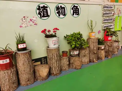 小小植物角,快乐伴成长——周庄镇中心幼儿园植物角创设活动