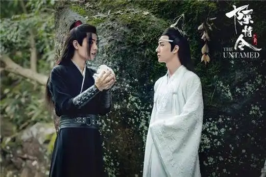 (国产剧最爱的男男cp排行top10陈情令肖战王一博居然才第二名)(19)