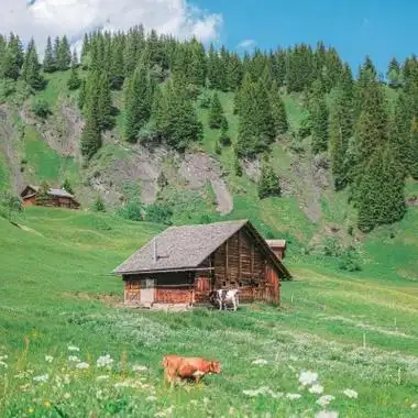 绝美心旷神怡大自然的风景头像图片