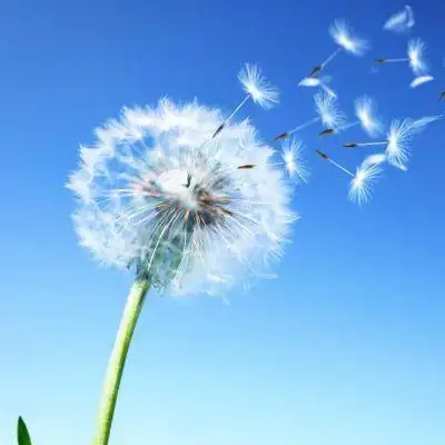 自然界多美丽啊!_风景静物头像_我要个性网