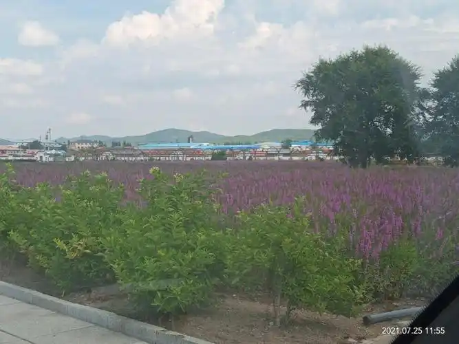 坐标黑龙江省牡丹江市林口县古城镇