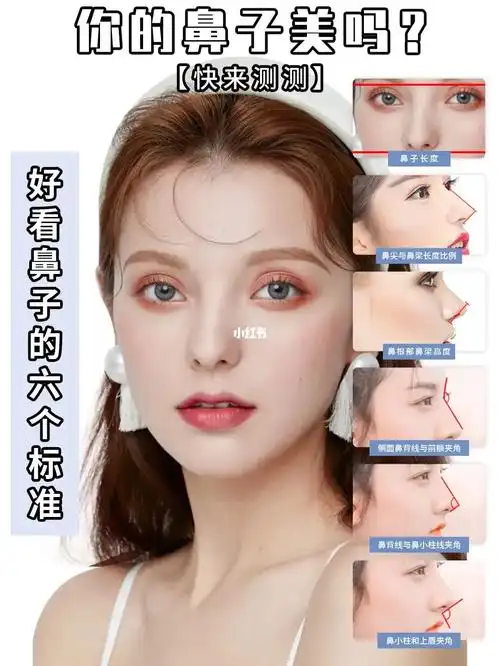 好看鼻子的6个标准