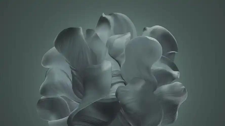 而windows 11有一个抽象的鲜花形壁纸,有深色