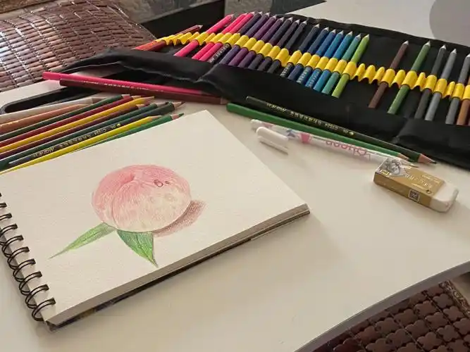 初学彩铅画