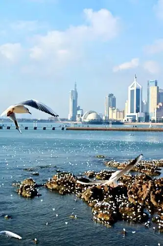 游栈桥,小青岛,小鱼山.