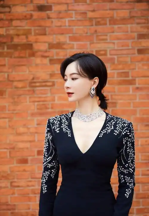 回顾美人陈数嫁大5岁钢琴家为继子放弃生育当后妈也幸福