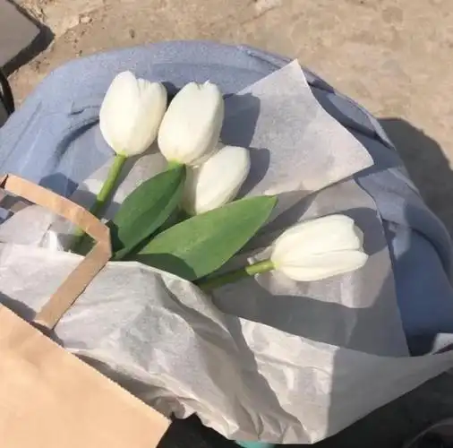 ins潮图朋友圈背景图高质量神仙背景