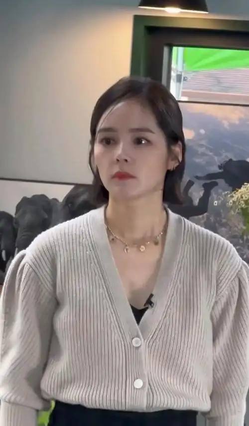 韩佳人短发搭配半髻,散发优雅魅力