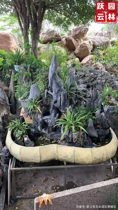 英石青龙石独特假山造景石材 英石青龙石假山盆景设计 英石批发