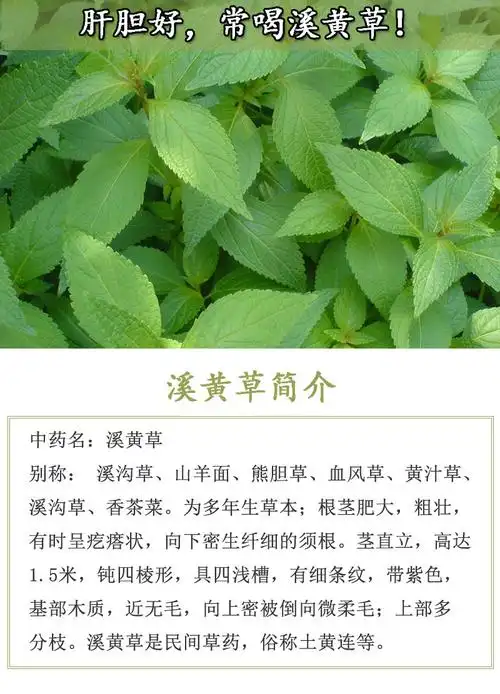中药材溪黄草500g清热益肝去肝火泡茶养生熬夜调理【图片 价格 品牌
