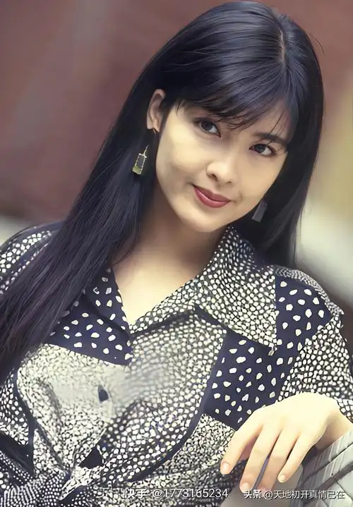 周慧敏(vivian chow)