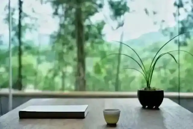 品一杯茶茗愿岁月悠然