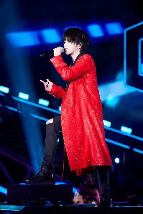 华晨宇极限挑战公益演唱会写真图片89