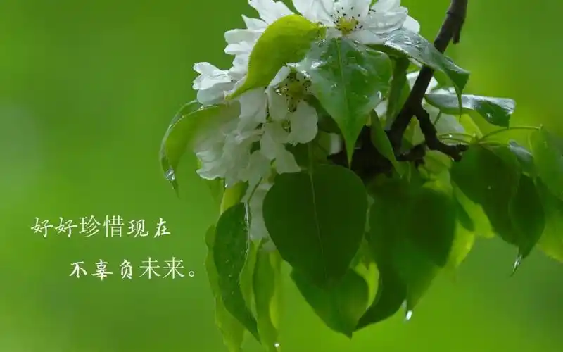 再见过去,未来你好