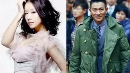 "揭秘刘德华与林心如:那些年一起追过的星"