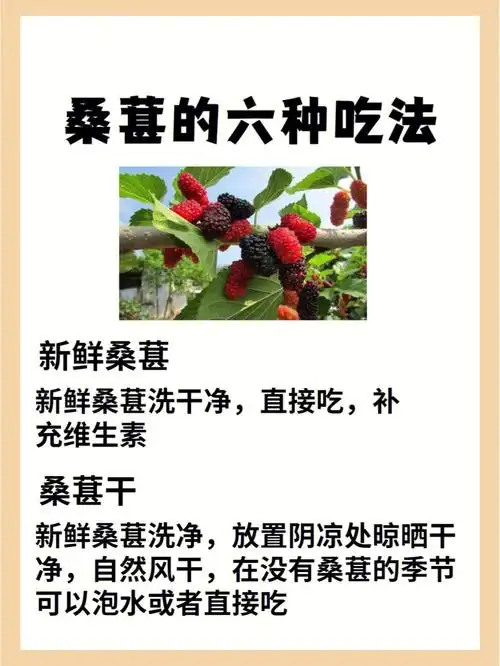 78超好吃的桑葚吃法78夏天吃出好气色92